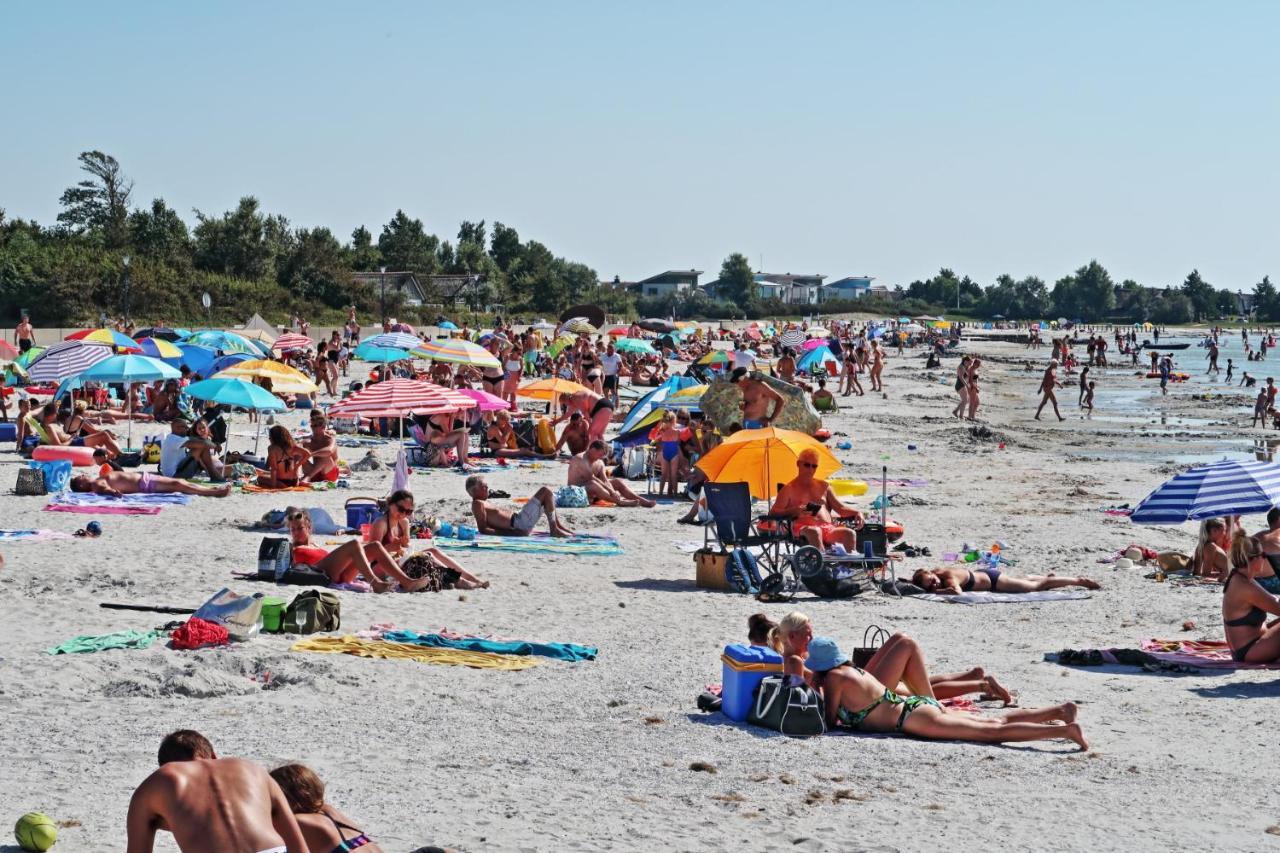 Ferienwohnung Direkt Am Strand In Makkum Eksteriør billede